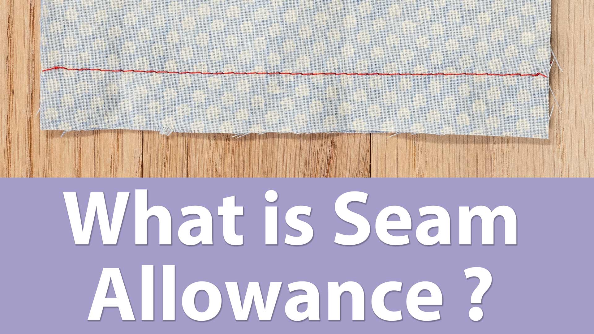 Seam Allowance Professor Pincushion