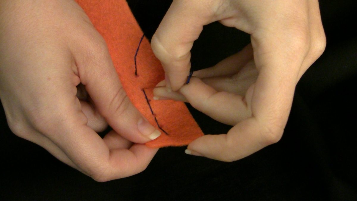 Back Stitch Demo