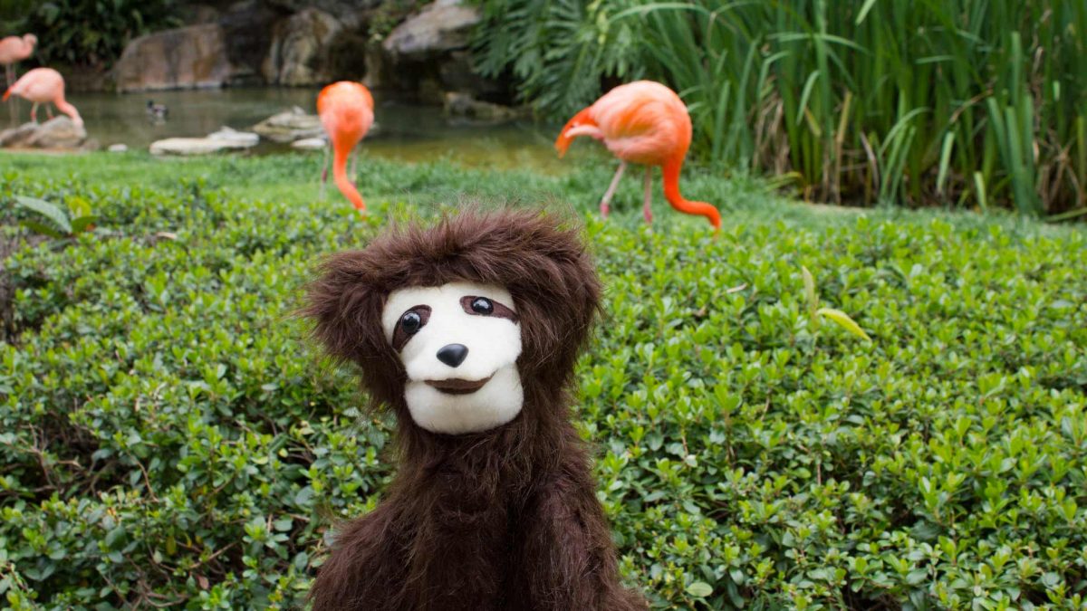 Stanley The Sloth Puppet And Flamingos