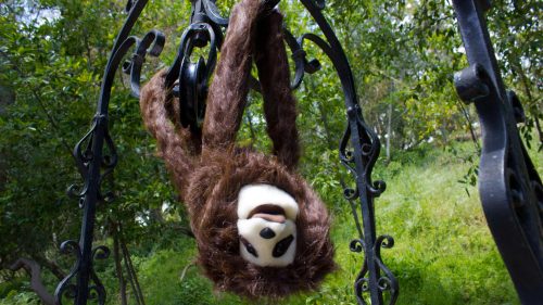 Stanley The Sloth Puppet Hanging Upside Down