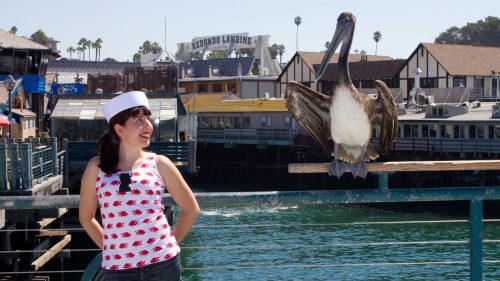 Basic Tank Top Pattern Bird