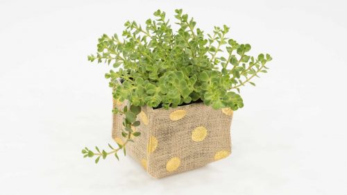 Burlap Planter