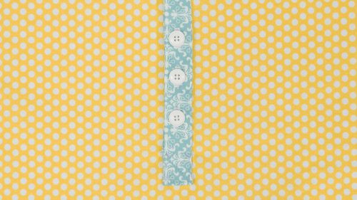 Button Placket