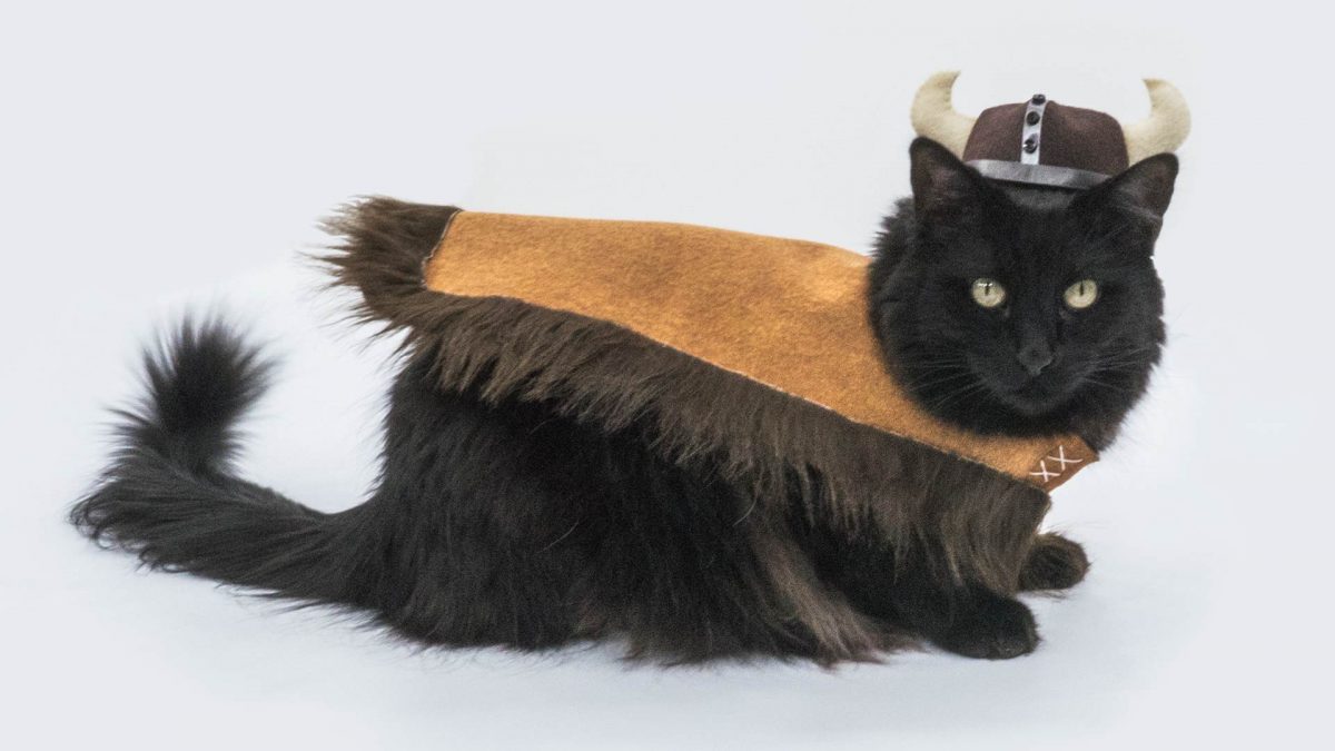 Viking Pet Costume