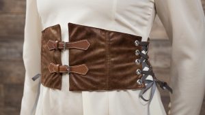 Waist Cincher Belt