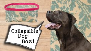 Collapsible Dog Bowl