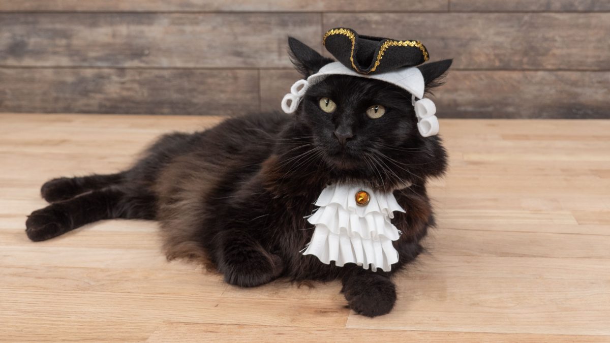 Pet Costume Colonial
