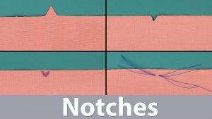 notches